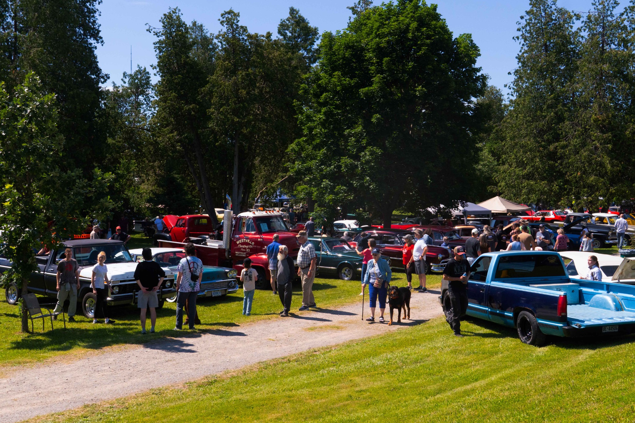 Visitors walking among classic vehicles at the Father’s Day Car Show