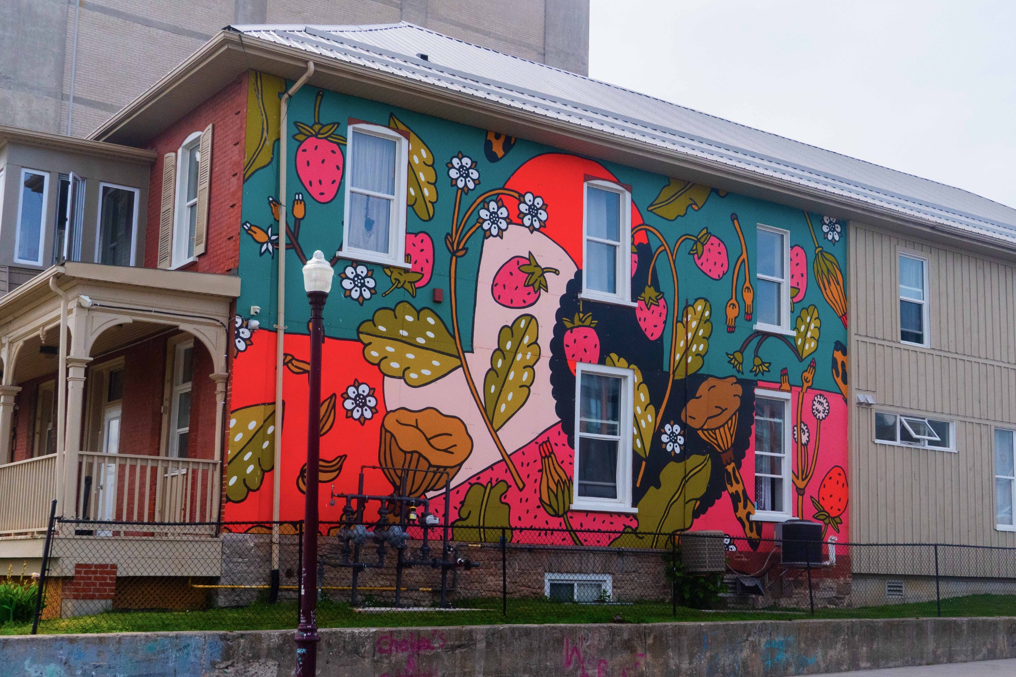 Rebirth and Resilience documented in Peterborough