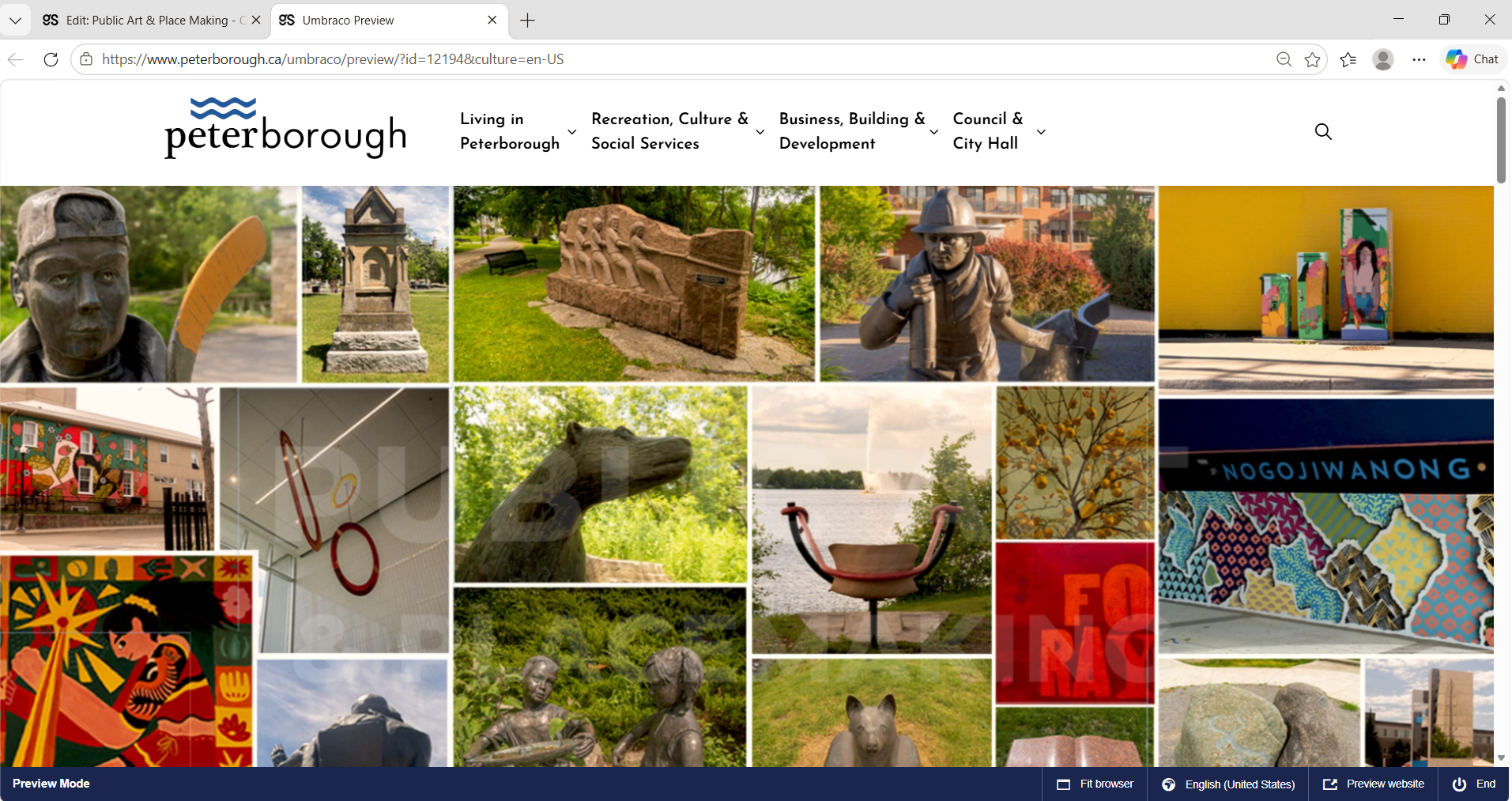 Public Art and Placemaking main page in the City of Peterborough Govstack CMS