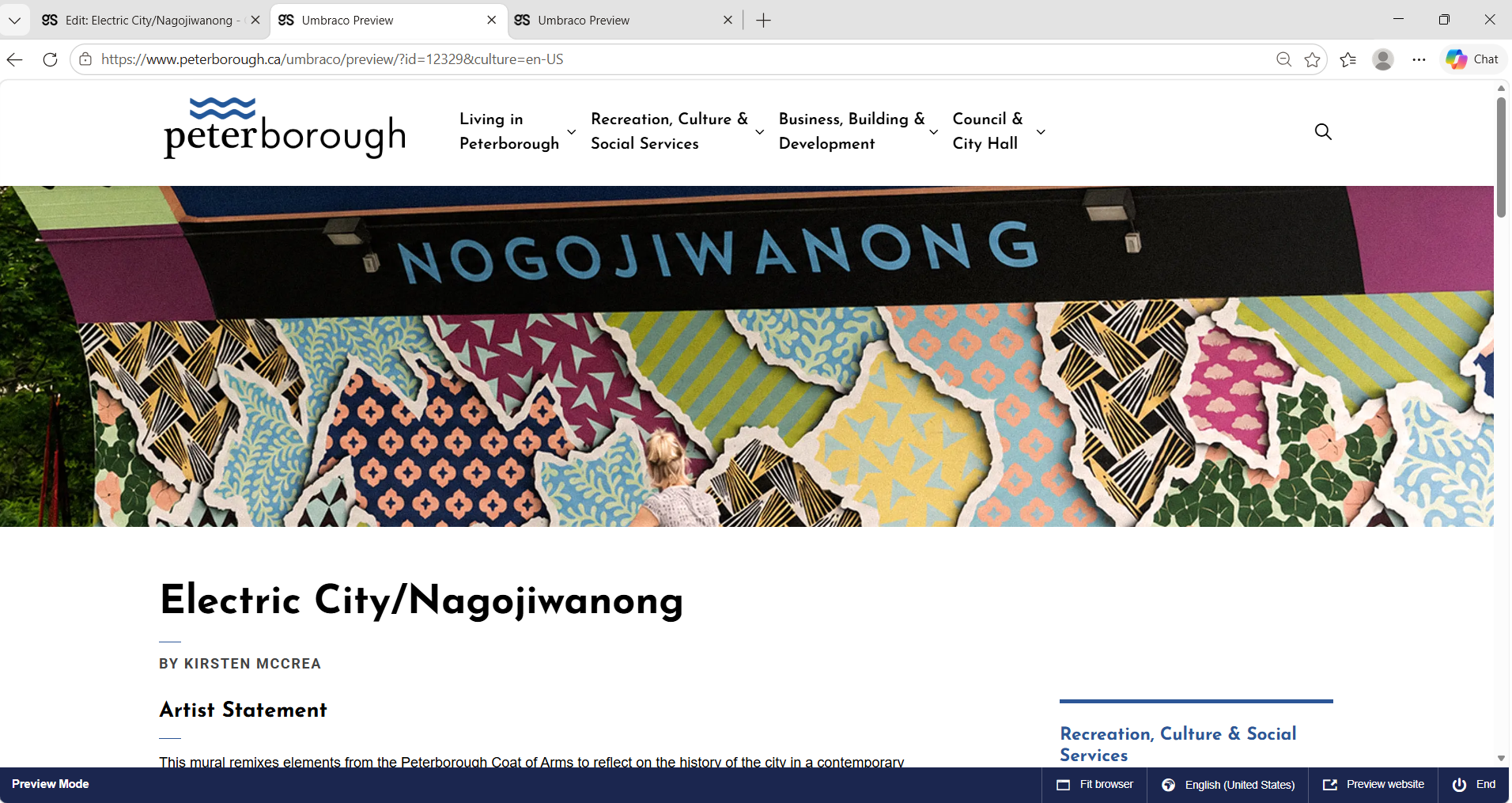 City of Peterborough public art webpage screenshot 11