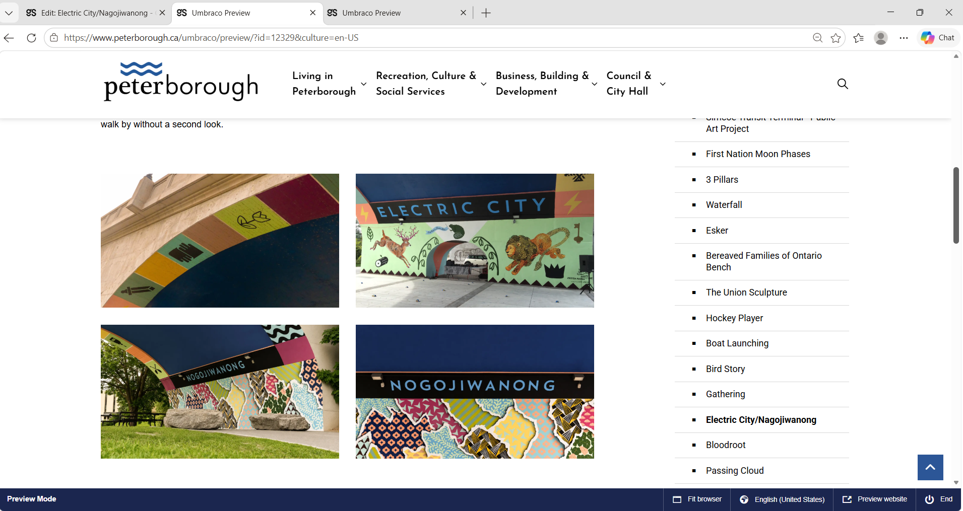 City of Peterborough public art webpage screenshot 12