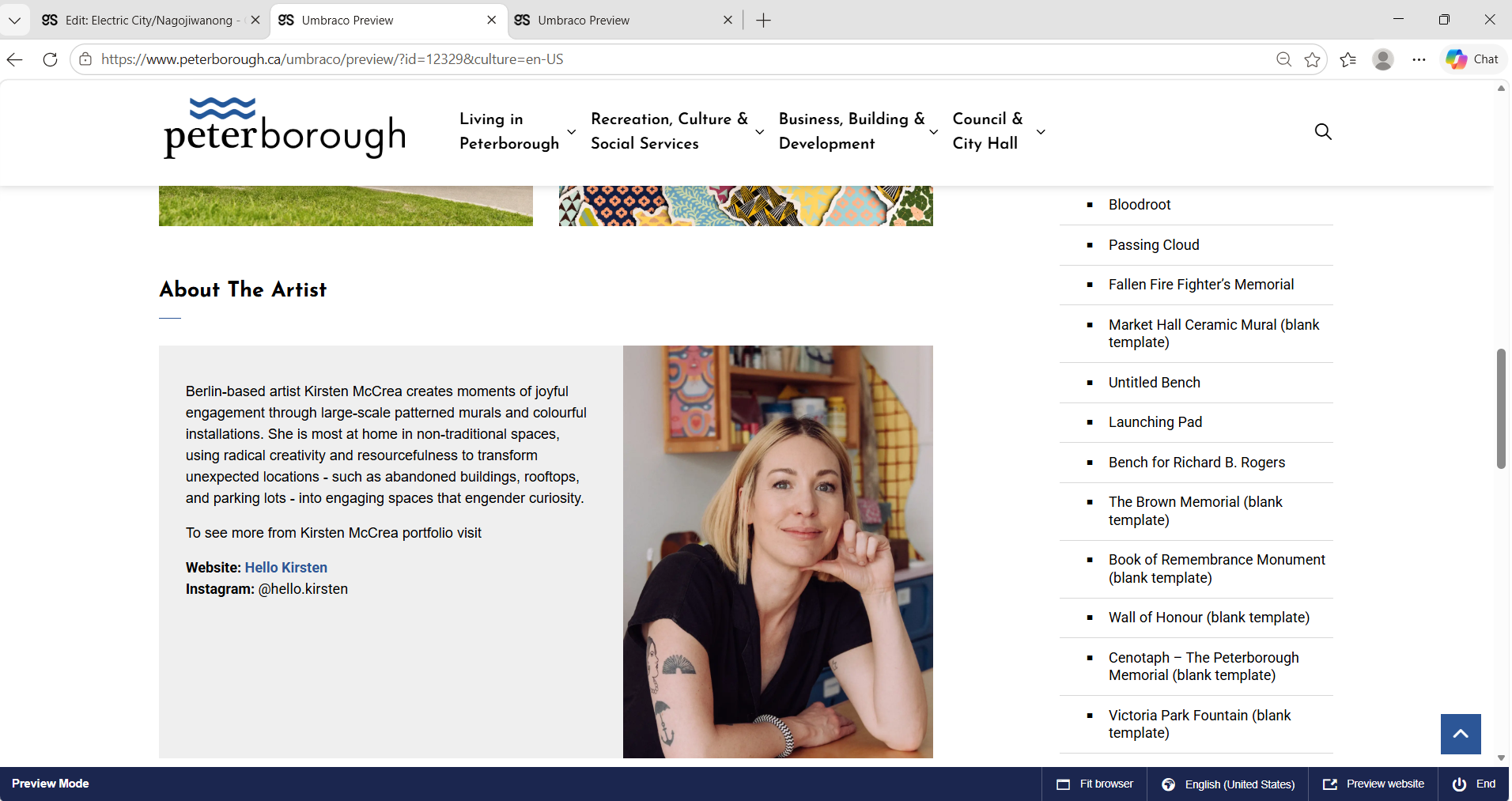 City of Peterborough public art webpage screenshot 13