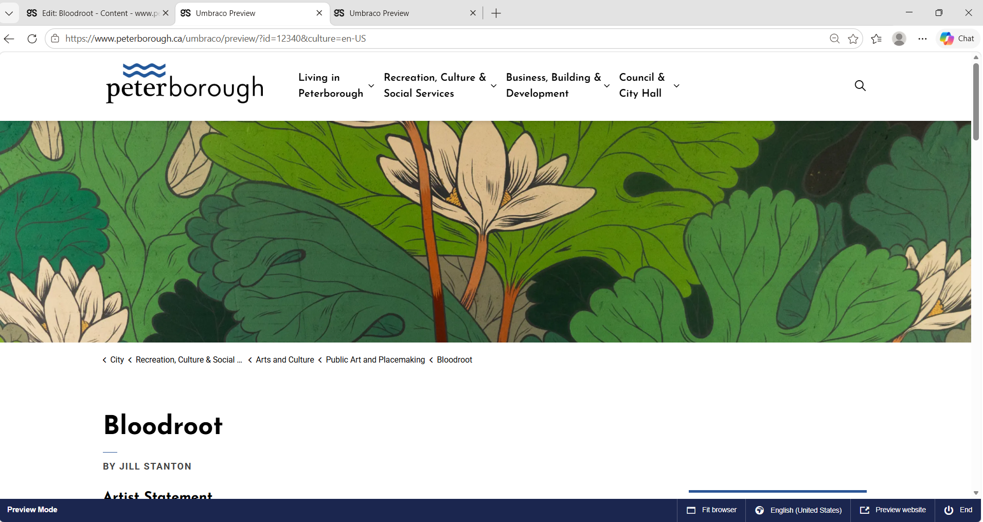 City of Peterborough public art webpage screenshot 14