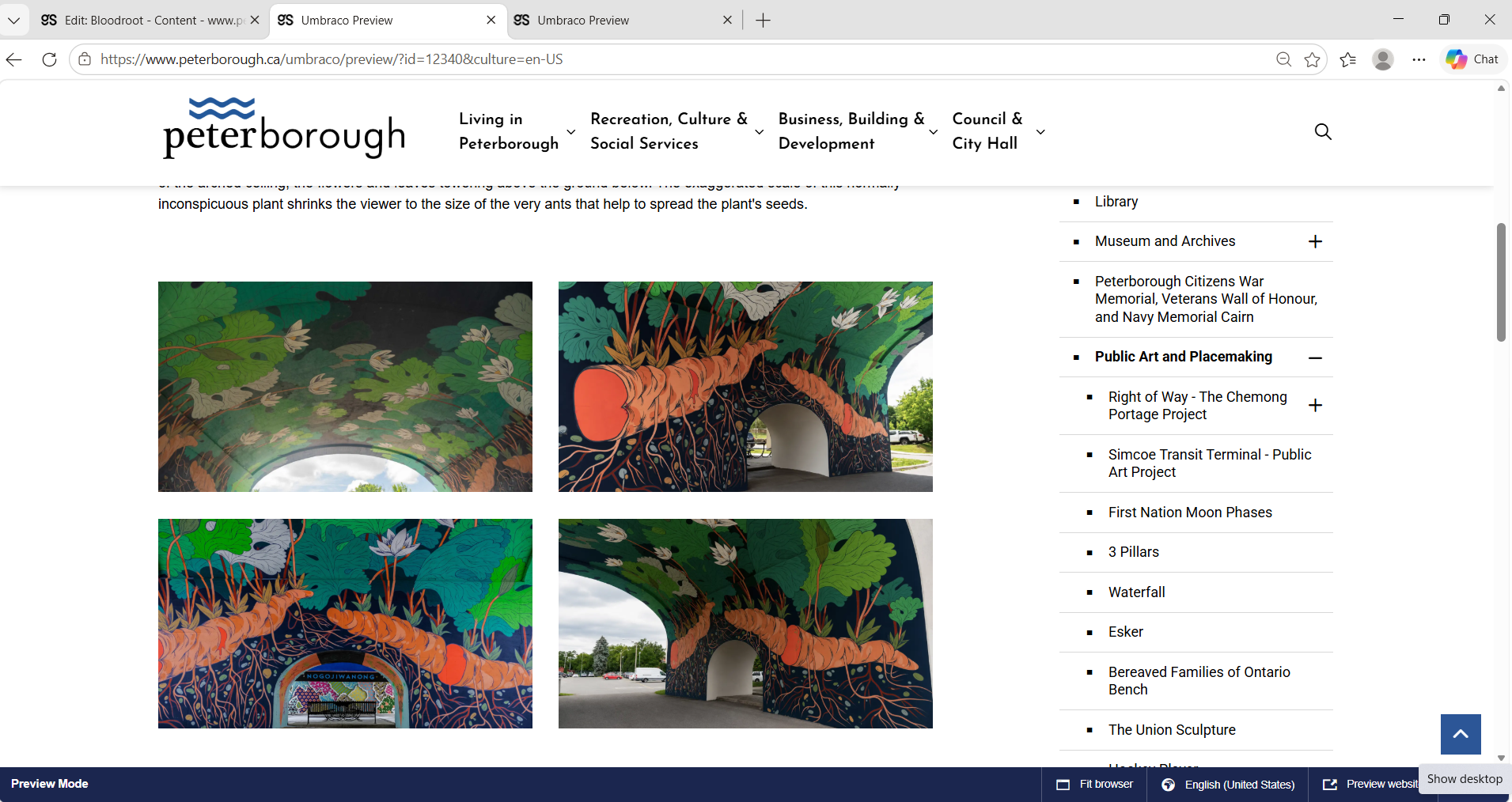 City of Peterborough public art webpage screenshot 15