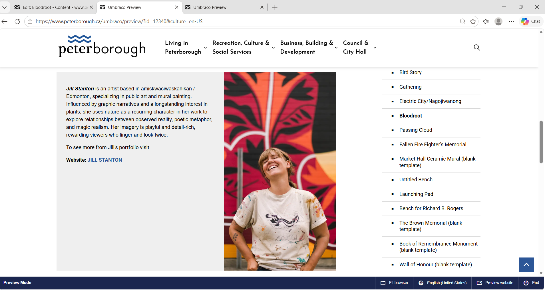 City of Peterborough public art webpage screenshot 16