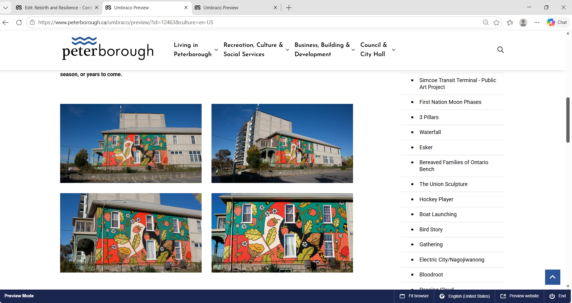 Rebirth and Resilience artwork gallery showing multiple views with public art collection navigation