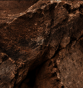 Burnt leather texture
