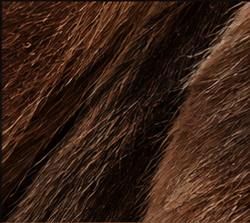 Saddle brown texture